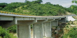 "El Ejido" Bridge