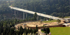 "Octavio Paz" Bridge