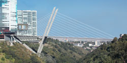 "Vidalta" Bridge